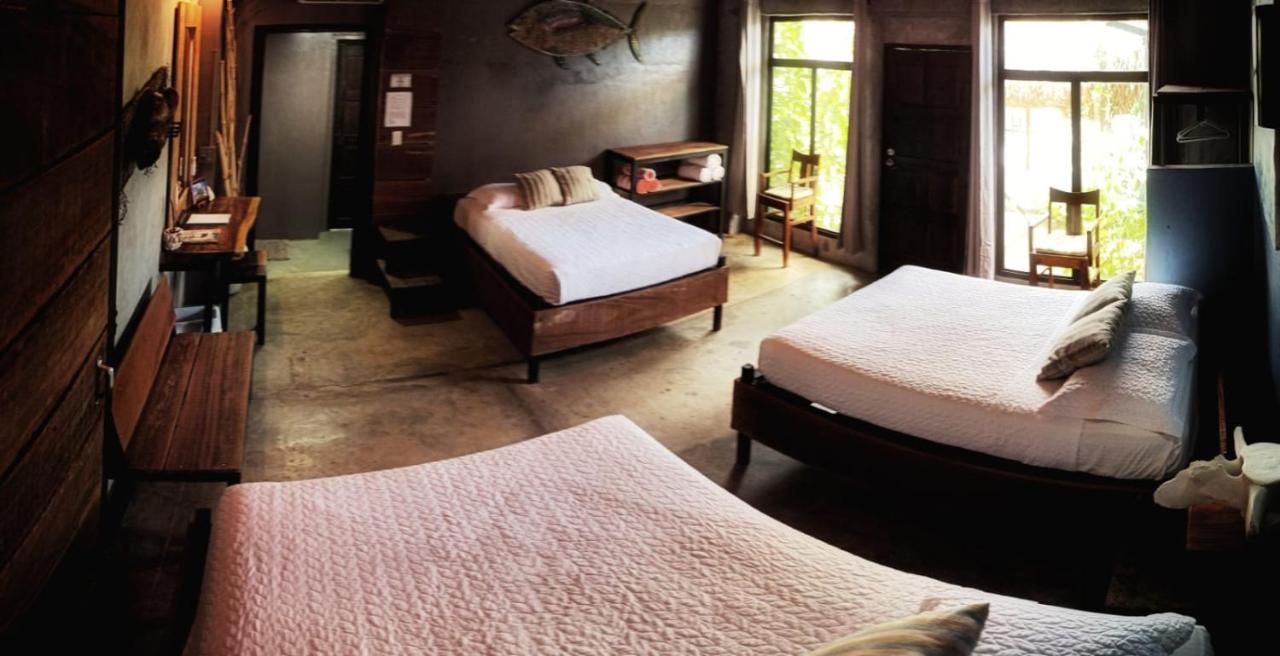 Surf & Eco Bed & Breakfast *