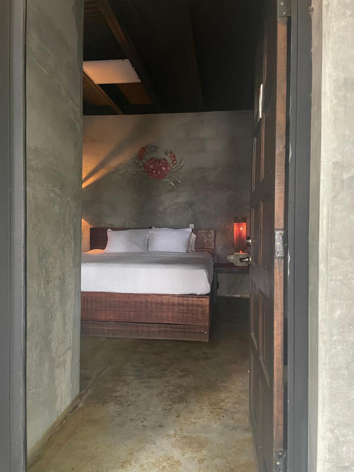 Surf & Eco Bed & Breakfast San Carlos